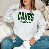 Canes Team Weather Digital Download