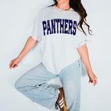 Panthers Navy Varsity Distressed Teams Digital Download