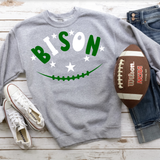 Bison Football Stars Digital Download