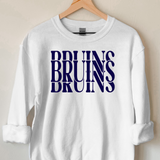 Casino Bruins Digital Download