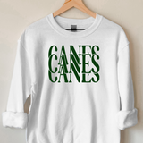 Casino Canes Digital Download