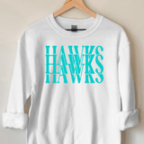 Casino Hawks Digital Download
